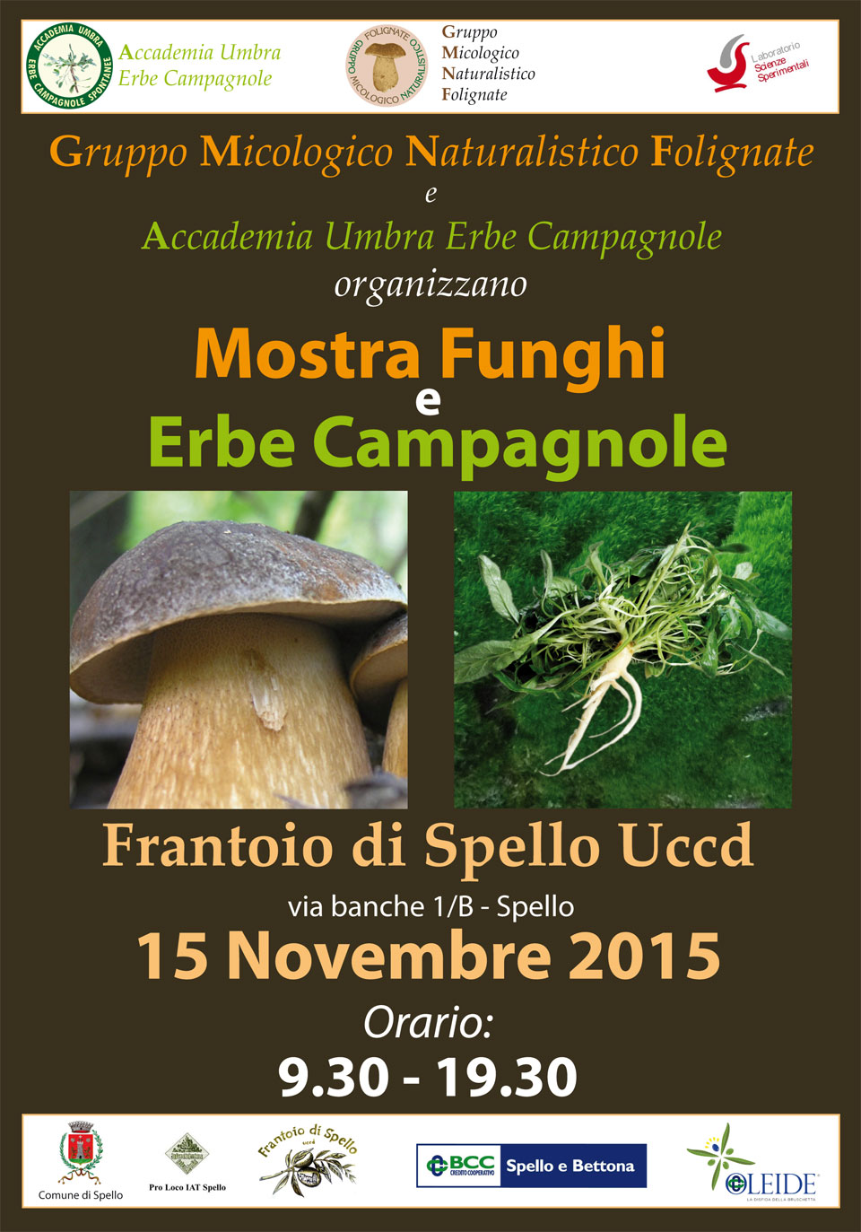 manifesto-MOSTRA-MICOLOGICA-2015